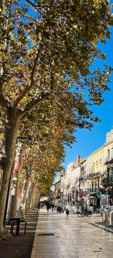 Double Room in Narbonne, Côte méditerranéenne (France)
