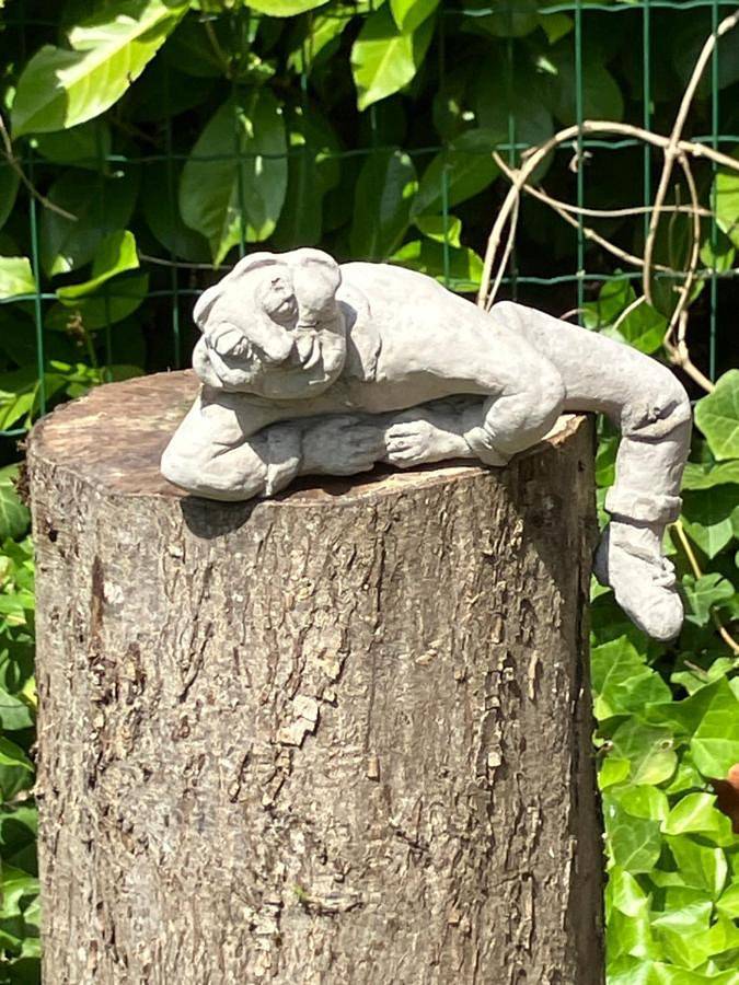 Chambre d’hôte pour 2 personnes, avec jardin ainsi que vue et piscine à Hasselt - 2