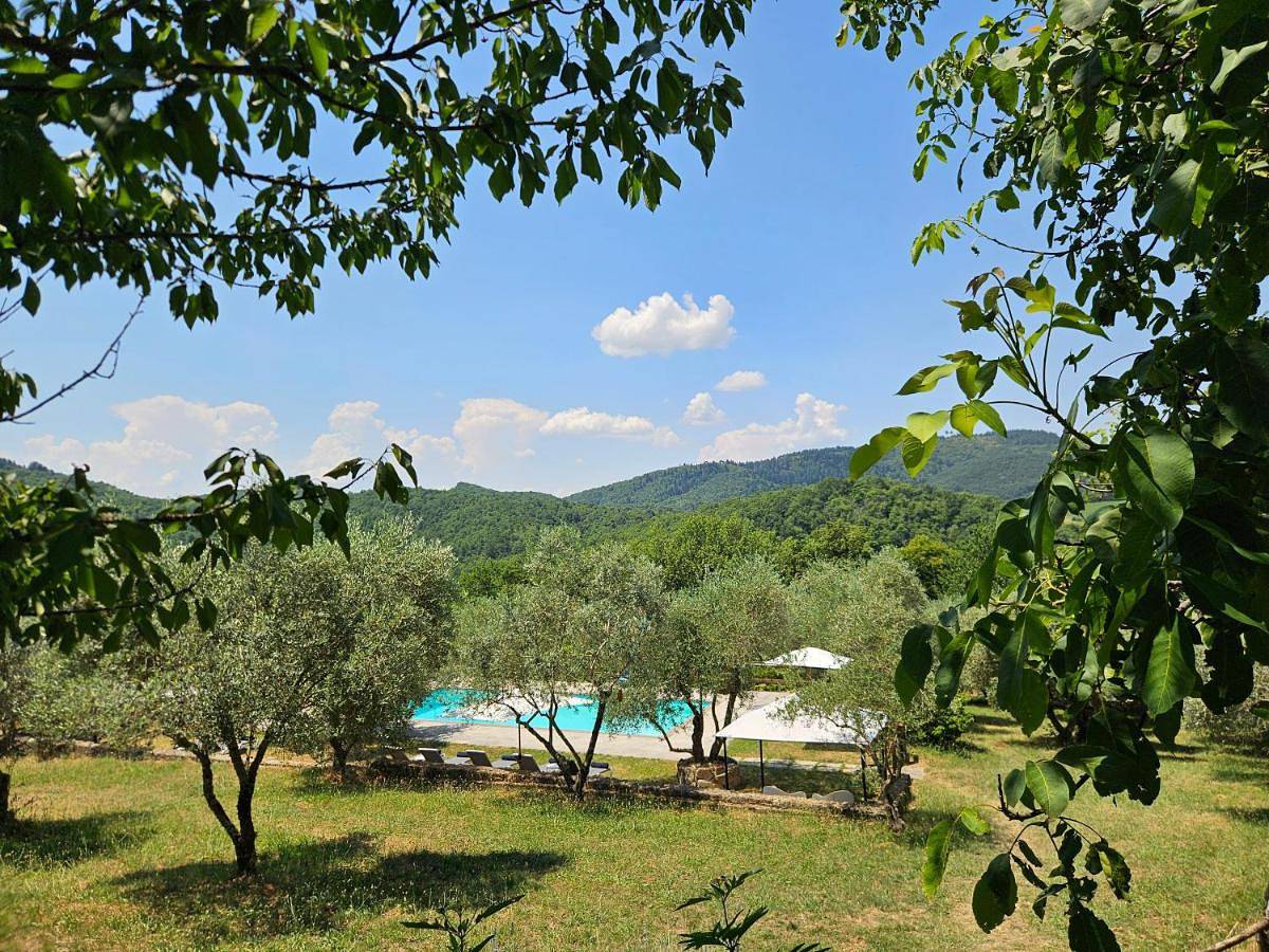 One-Bedroom House in Chianti