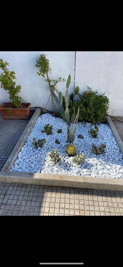 Location de vacances pour 5 personnes, avec vue et jardin à Maglie - 2