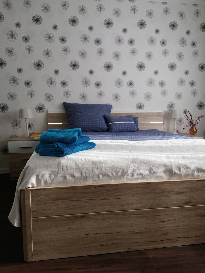 Holiday home for 4 people with terrace in Castle Dankern, Haren (Ems)