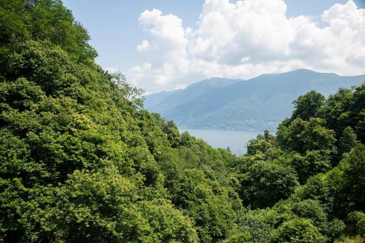Villa für 6 Personen, mit Terrasse und Seeblick sowie Ausblick, mit Haustier in Brissago - 4