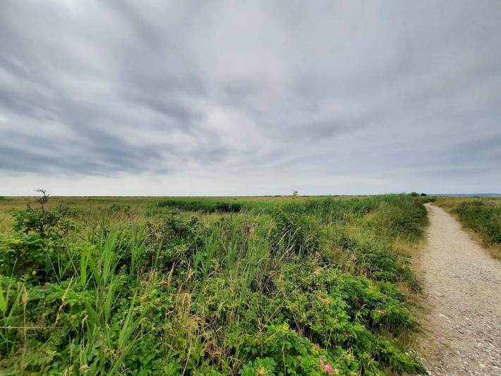 Ferienhaus für 10 Personen, mit Pool und Kinderpool in Djursland - 4