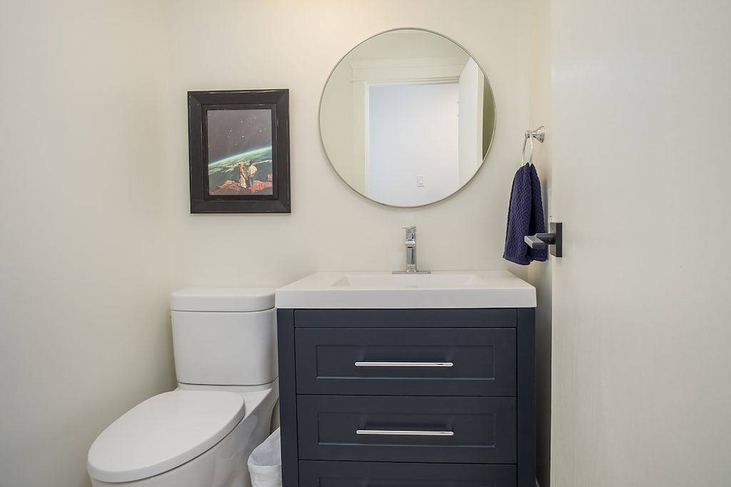 Winter Wren Mount Washignton Village in Mount Washington (BC)