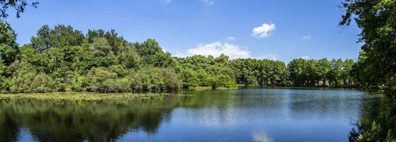 Mobil home pour 5 personnes, avec terrasse à Saint-Paul-lès-Dax - 2