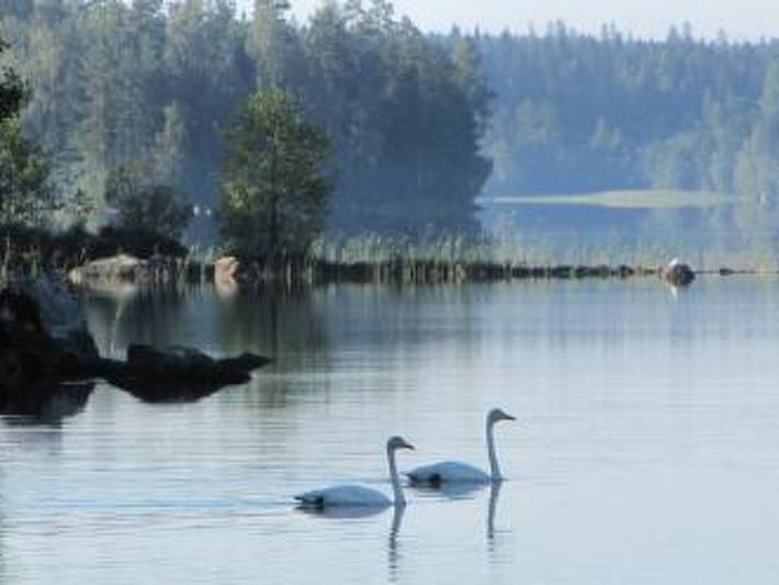 Lokki in Padasjoki, Päijät-Häme