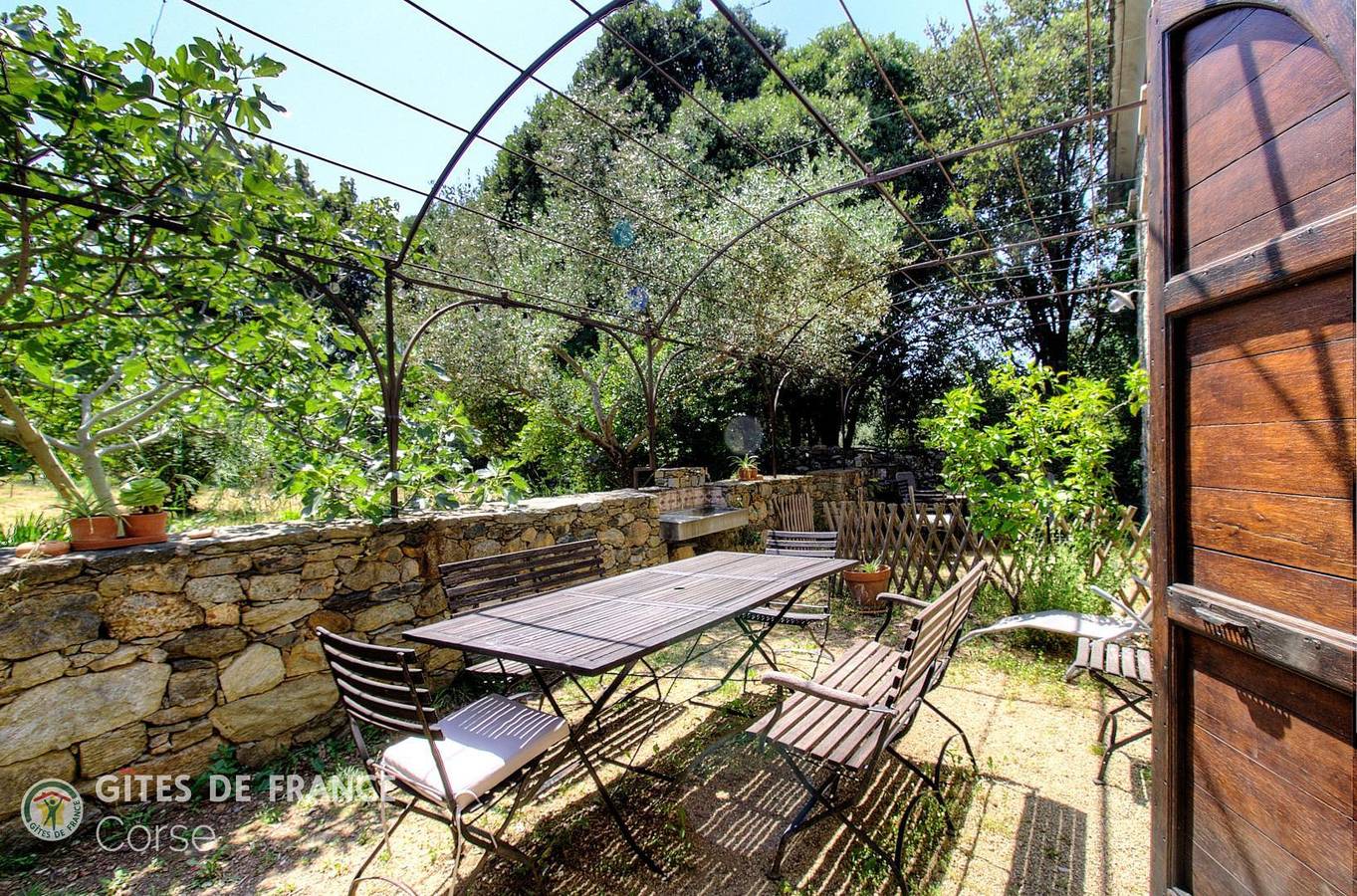 Regina in Patrimonio Francia, Calvi e dintorni