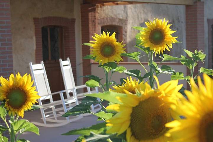 Gîte pour 11 personnes, avec jardin ainsi que sauna et piscine