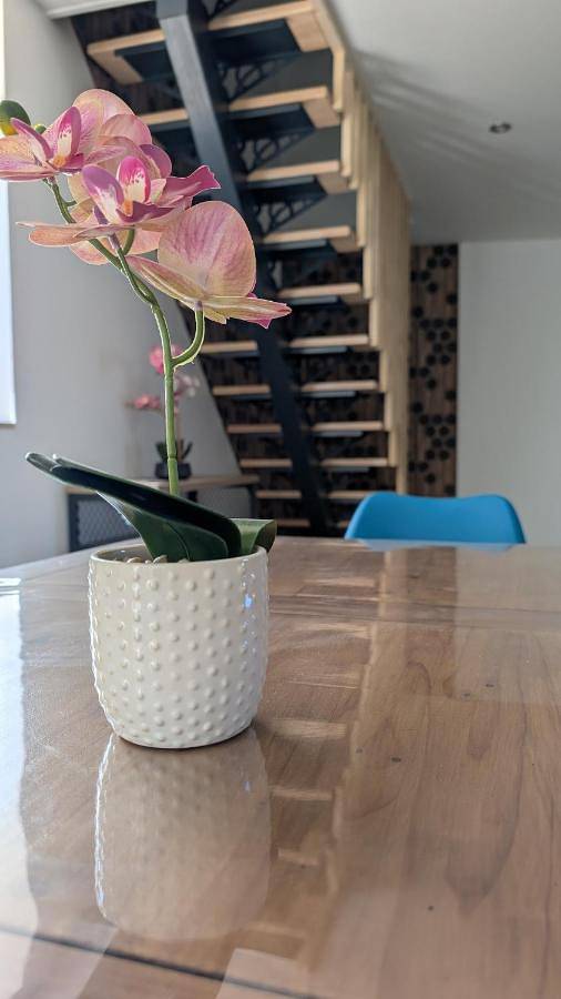 Location de vacances pour 6 personnes, avec jardin dans La Roche de Solutré - 4