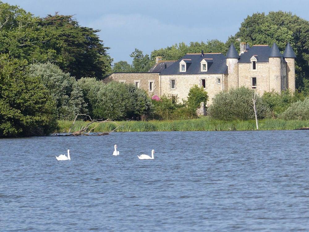 Domaine de Kerbillec - Chambre Lisa in Theix, Côte des Mégalithes