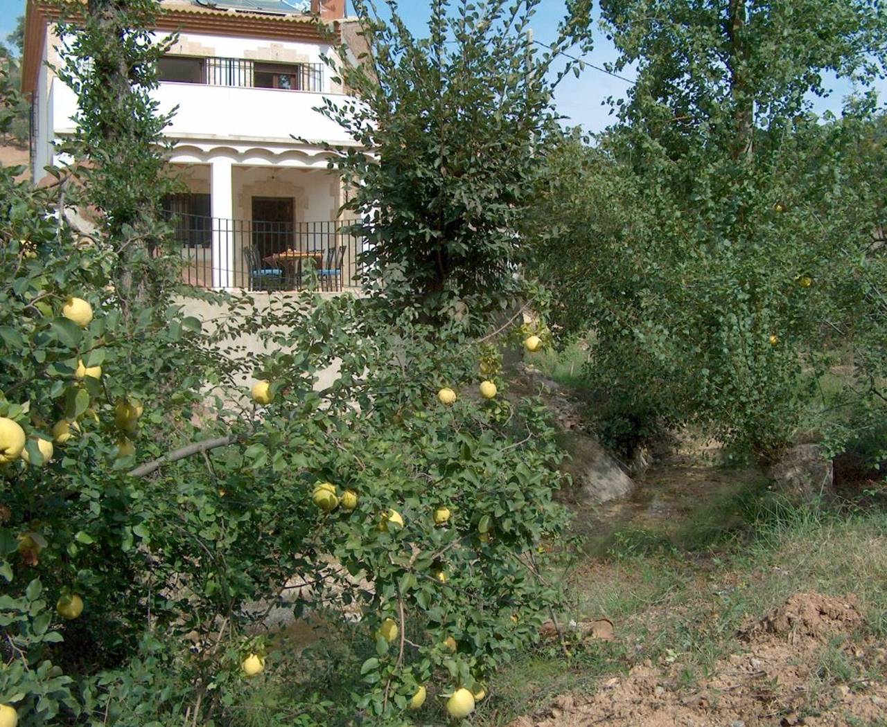Casa espaciosa Zambra + Piscina in Rute, Sierras Subbéticas