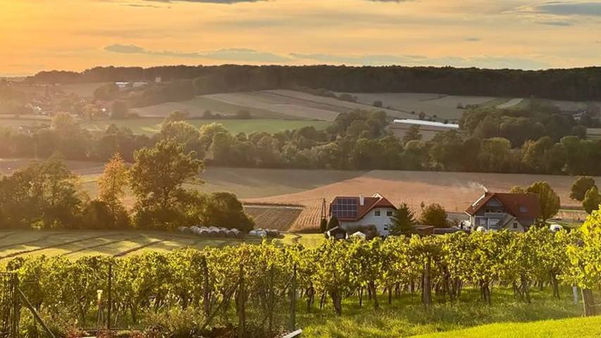 Ferienhaus für 9 Personen, mit Garten