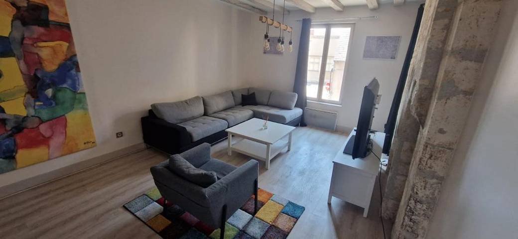 Gîte pour 6 personnes, avec terrasse dans Musee Du Berry Bourges - 3