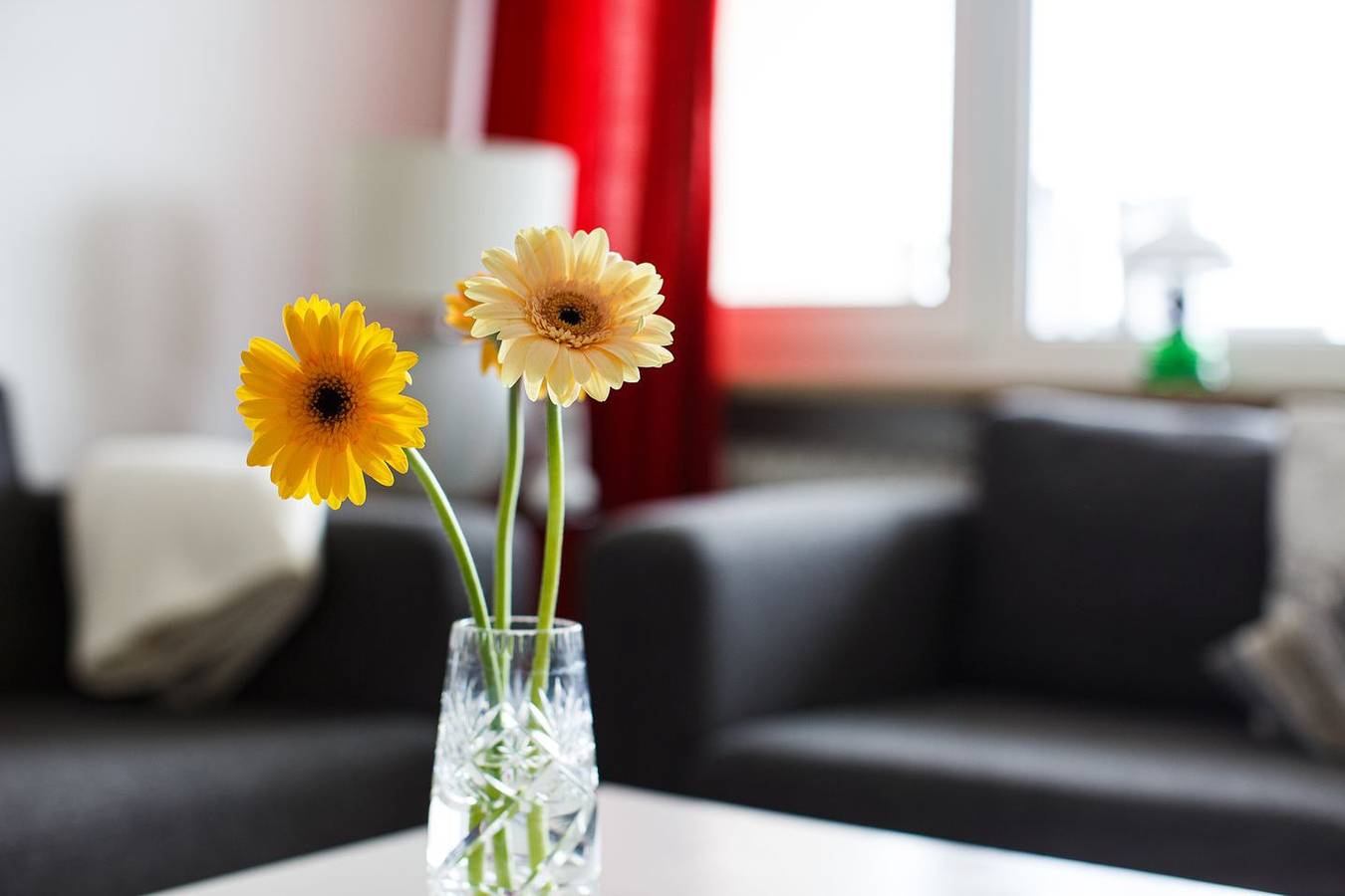 Ganze Wohnung, Hier atmen Sie die Seeluft tief ein.... in Greveling, Wyk auf Föhr