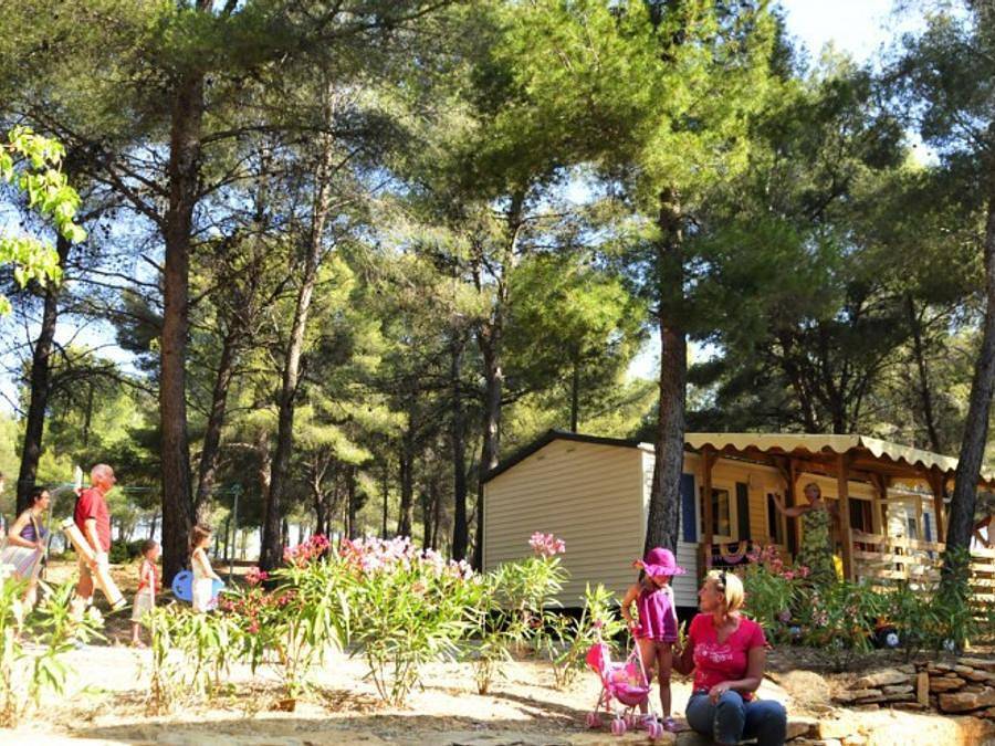 Camping Aec Vacances Les Dauphins - Safaritent 5 personen - Lodge tent - 2 slaapkamers in Saint-Cyr-sur-Mer, Toulon regio