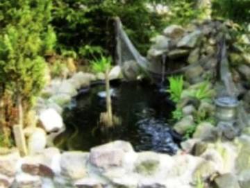 Ferienwohnung für 4 Personen in Trassenheide, Usedom, Bild 3