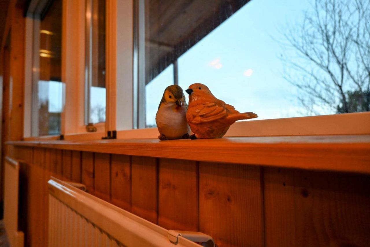 Two-Bedroom Chalet in Thingvellir