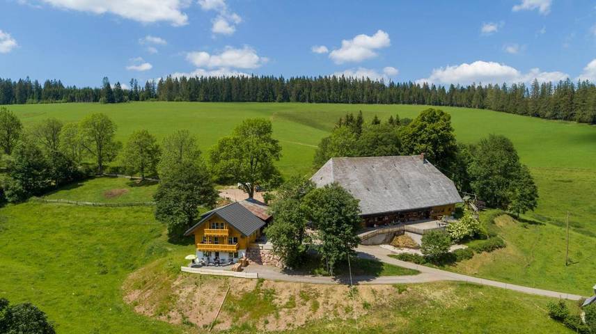Ferienwohnung für 6 Personen, mit Terrasse und Sauna sowie Ausblick in Vöhrenbach