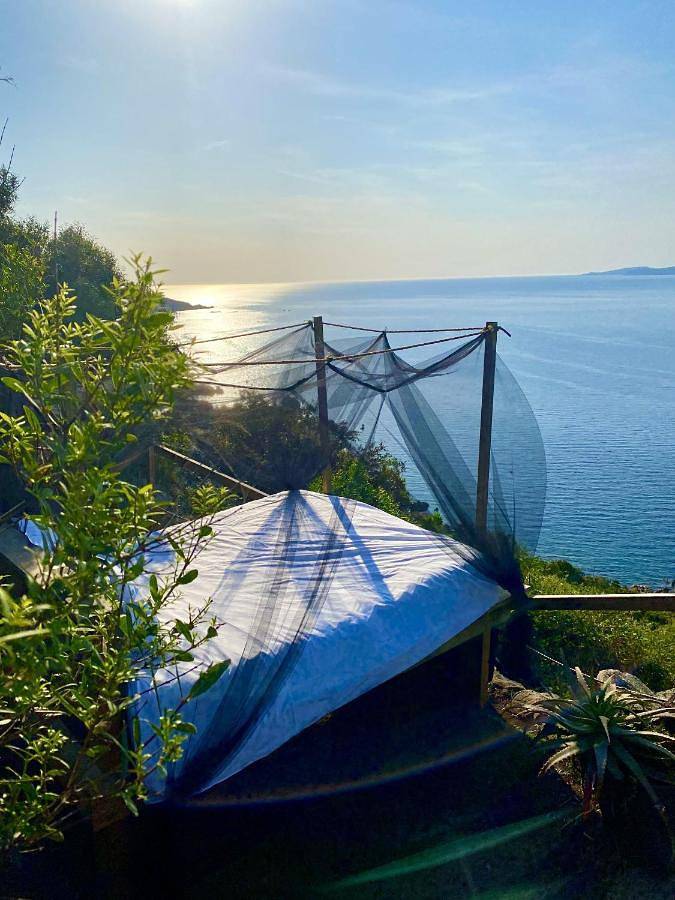 Chambre d’hôte pour 2 personnes, avec jardin ainsi que vue et piscine en Corse-du-Sud - 4