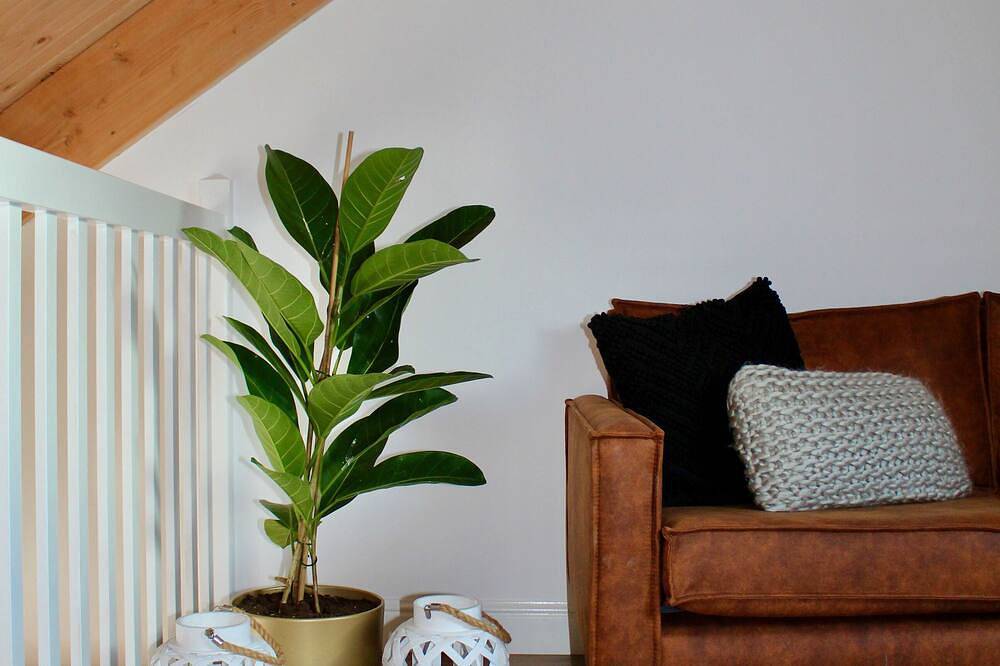 Luxury Appartment Landelijk in North Holland