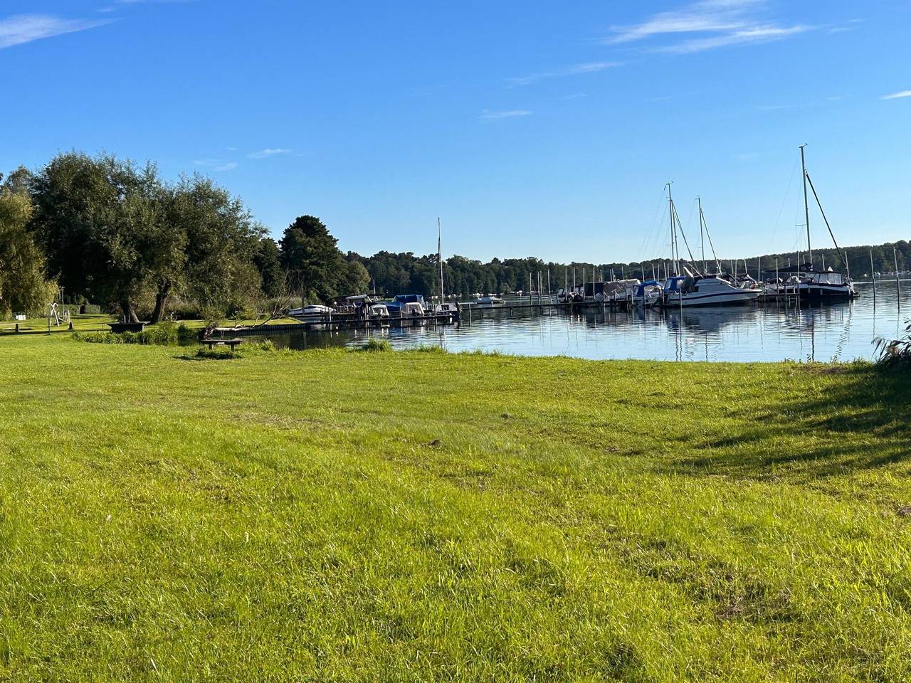 am Schwielochsee, foto 10
