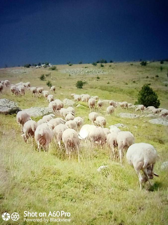Location de vacances pour 2 personnes, avec jardin à Pied-de-Borne - 2