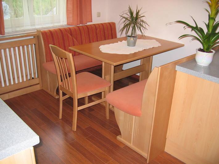 Ganze Ferienwohnung, App./2 Schlafräume/Dusche, Wc, "Gabühel" in Dienten am Hochkönig, Pinzgau