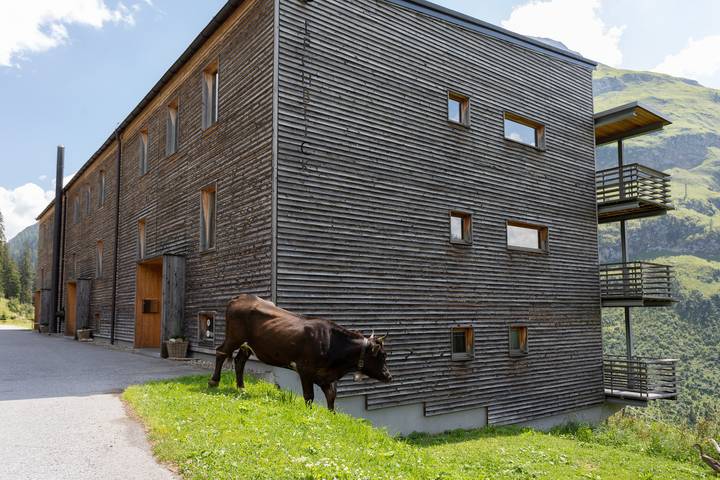 Ganze Ferienwohnung, Ferienwohnung mit Balkon in Bregenzerwald (Vorarlberg), Warth