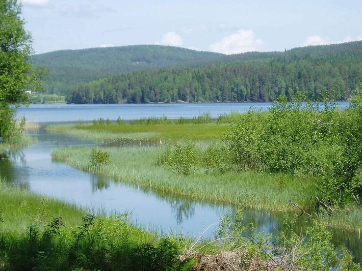 Ferienhaus für 5 Personen, mit Garten in Värmland - 4