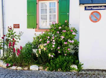 Ferienhaus für 4 Personen, mit Terrasse in Bernkastel-Kues