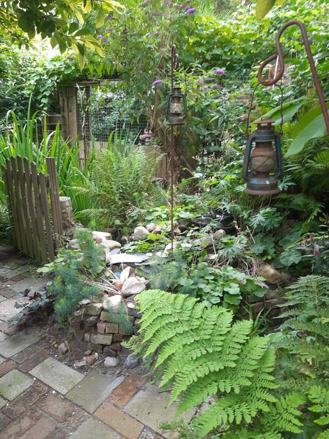 Chambre d’hôte pour 4 personnes, avec terrasse et vue à La Haye - 2