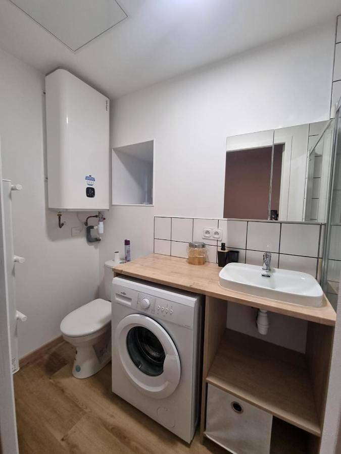 Gîte pour 2 personnes, animaux acceptés à Coligny - 4