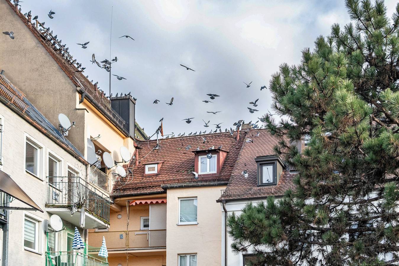 Entire apartment, Apartment 'In Nürnberger Altstadt' with Private Terrace and Wi-Fi in Nuremberg, Franconia