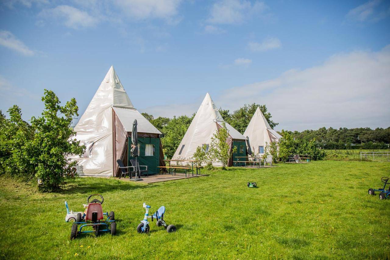 Boerderij Halfweg in West-Terschelling, Nederlandse waddeneilanden