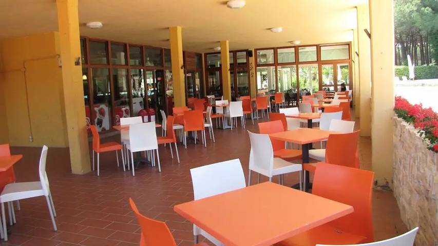 Camping für 4 Personen, mit Terrasse und Pool in Italienische Riviera - 3