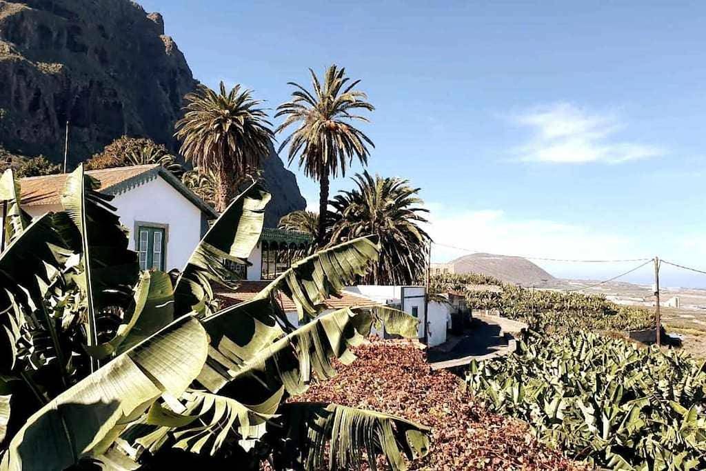 Two-Bedroom House in Garachico, Tenerife Norte