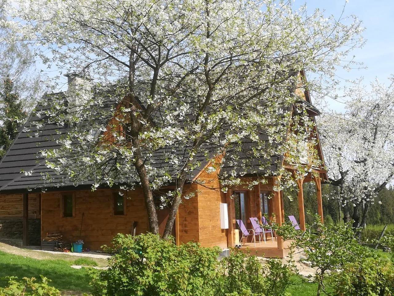 Buflaczanka in Nowy Targ, Karpaty (Polska)