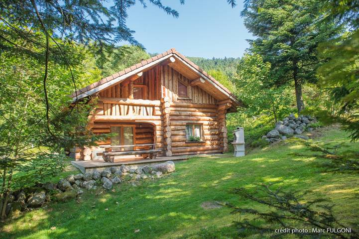 Chalet pour 10 personnes, avec Terrasse et Jardin à La Bresse