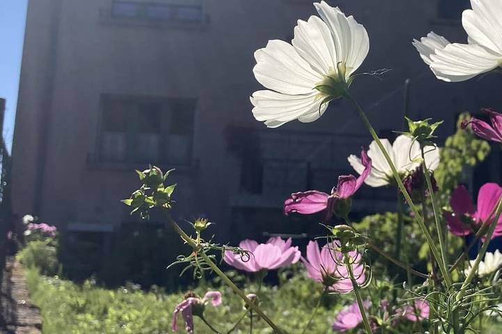Gîte pour 5 personnes, avec terrasse et jardin dans Ranguevaux