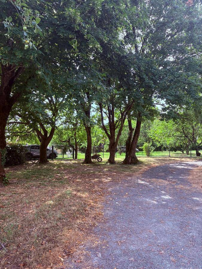 Location de vacances pour 9 personnes, avec jardin dans Venise Verte - 4