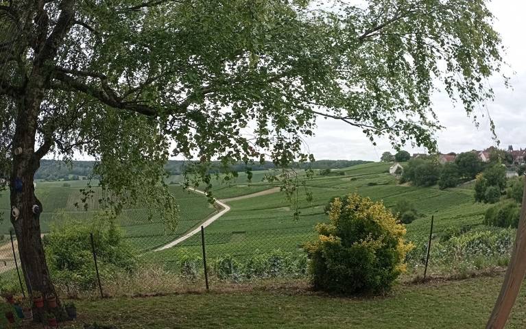 Maison de vacances pour 5 personnes, avec jardin dans Marne - 2