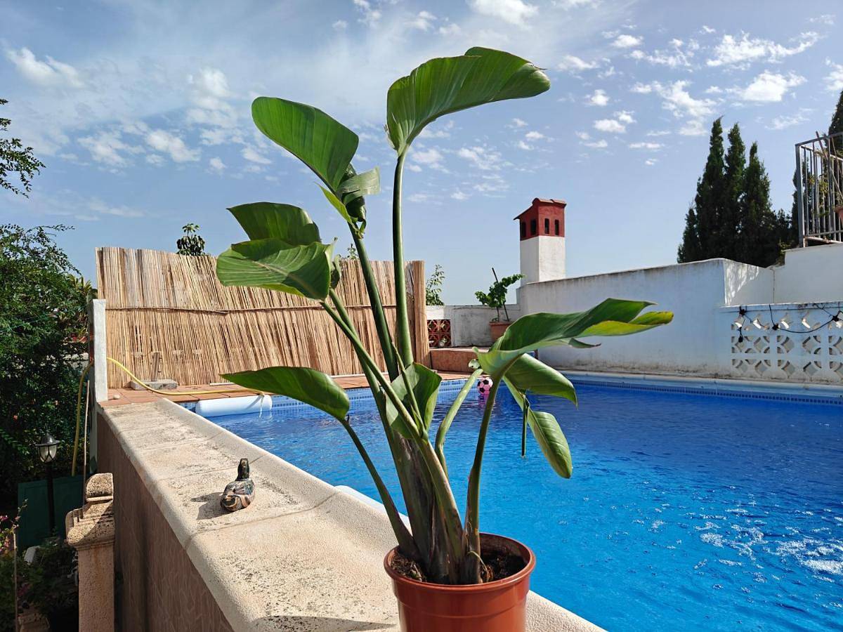 Beautiful and peaceful villa in Valencia with private pool in Llíria, Valencia Provinz