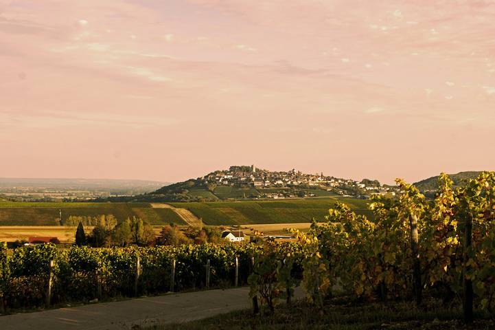 Gîte pour 11 personnes, avec terrasse, animaux acceptés dans le Cher - 2