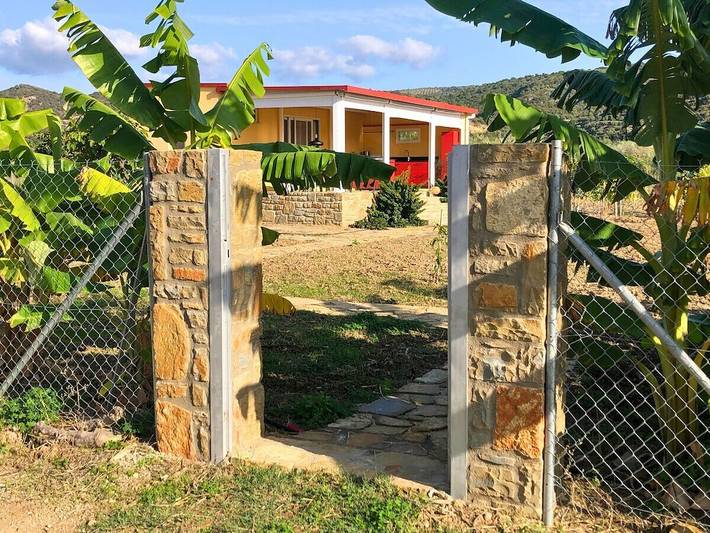 Bungalow für 3 Personen, mit Terrasse und Garten auf den Peloponnes - 3