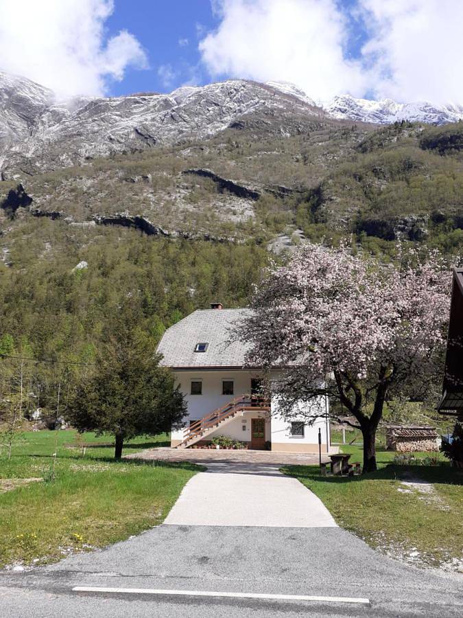 Ganze Wohnung, Apartma pod Rožem in Bovec, Triglav Nationalpark