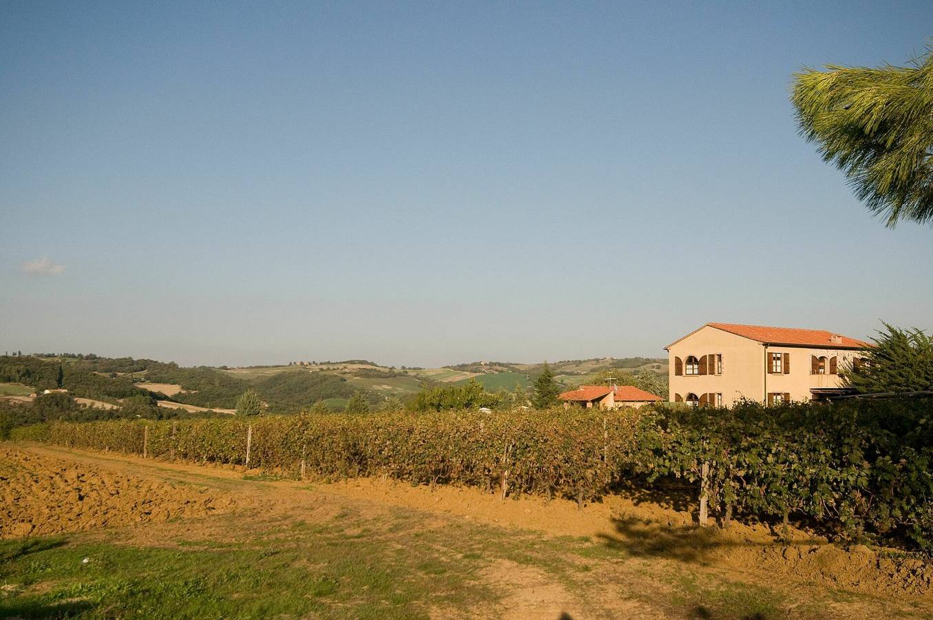 Agriturismo Le Selvole - Girasole in Pomarance, Riserva Naturale di Monterufoli