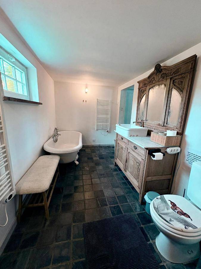 Gîte pour 9 personnes, avec vue sur le lac ainsi que vue et jardin à Frasnes-lez-Anvaing - 4