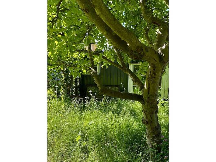 Ferienhaus für 4 Personen, mit Terrasse und Garten in Bergen auf Rügen - 4