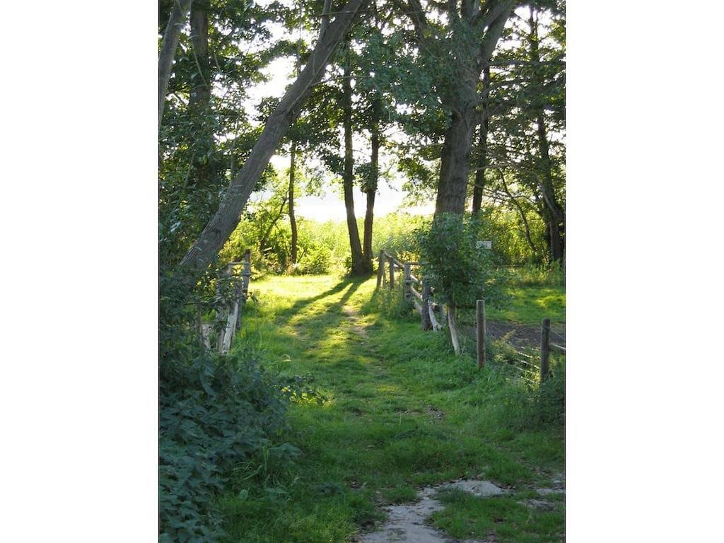 Carolas Landhaus Komfortable Ferienresidenz in Neuruppin, Ruppiner Seenland