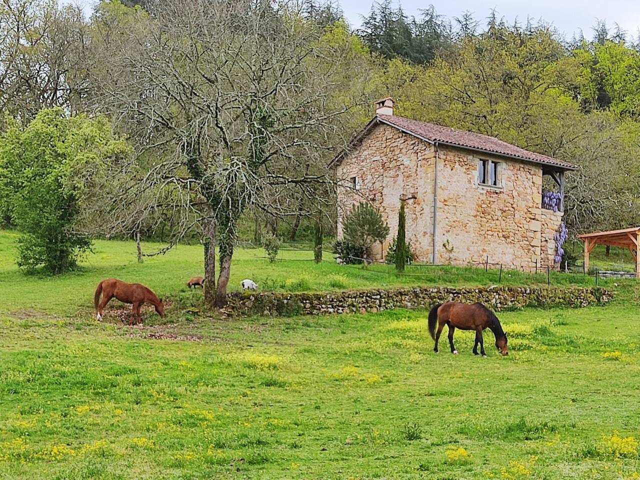 Gîte de charme nuits ou semaine in Figeac, Massif central